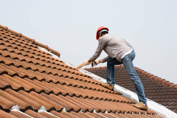 Professional  Roofing repair and installation in Divernon, IL
