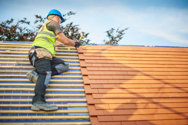 Best Roof Moss and Algae Removal  in Divernon, IL