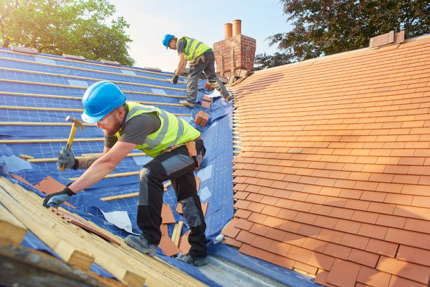 Best Emergency Roof Repair Services  in Divernon, IL